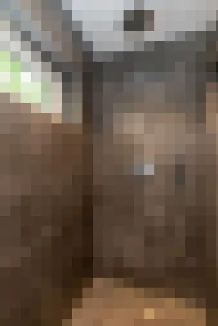 Dennenlaan 94 Rijssen thumbnail 27