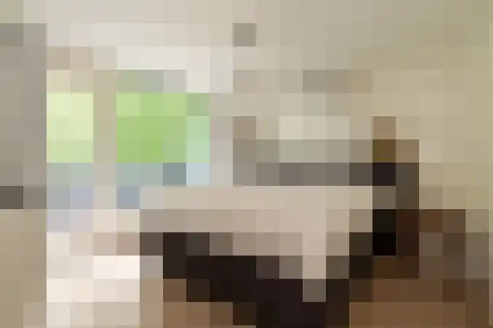 Dennenlaan 94 Rijssen thumbnail 28