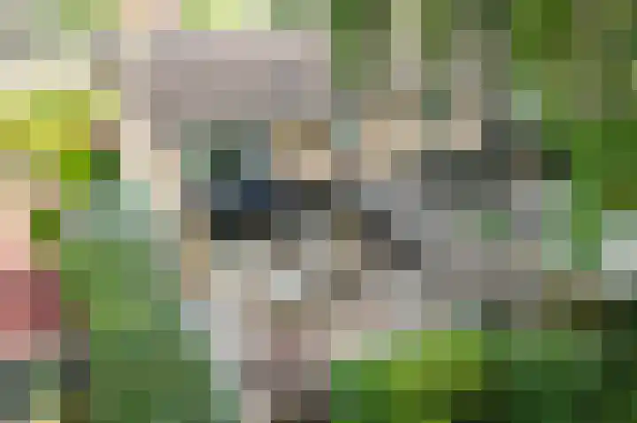 Dennenlaan 94 Rijssen thumbnail 35