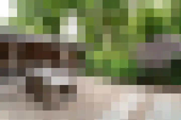 Dennenlaan 94 Rijssen thumbnail 38