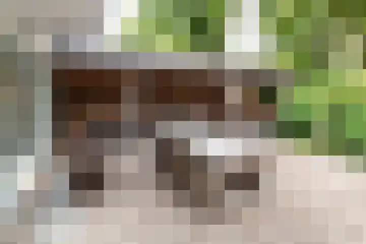 Dennenlaan 94 Rijssen thumbnail 39