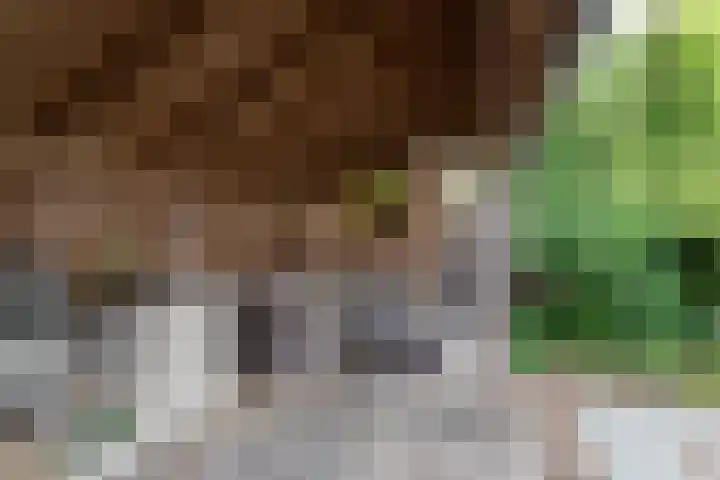 Dennenlaan 94 Rijssen thumbnail 40