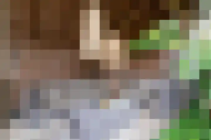 Dennenlaan 94 Rijssen thumbnail 41