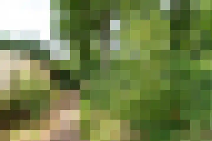 Dennenlaan 94 Rijssen thumbnail 44