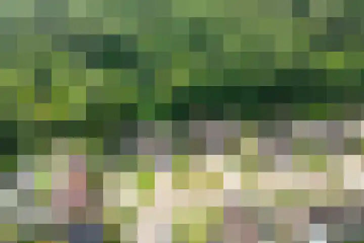 Dennenlaan 94 Rijssen thumbnail 45