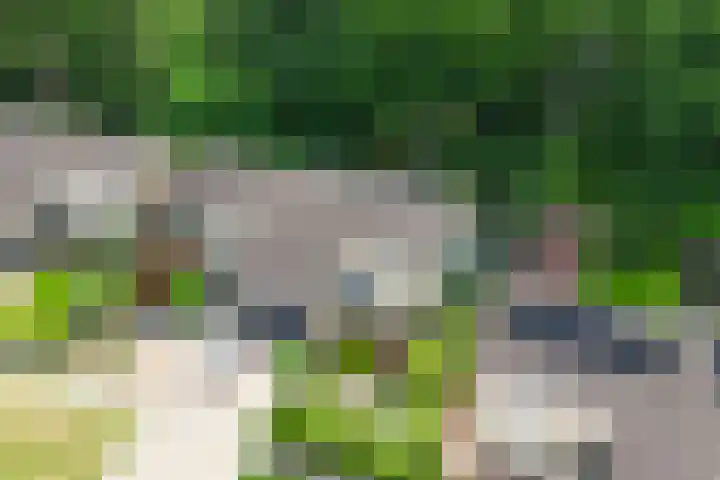 Dennenlaan 94 Rijssen thumbnail 7