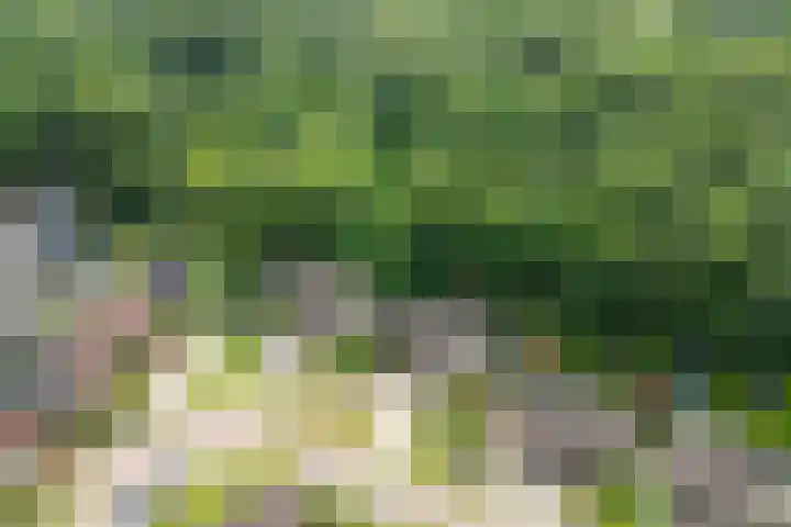 Dennenlaan 94 Rijssen thumbnail 8