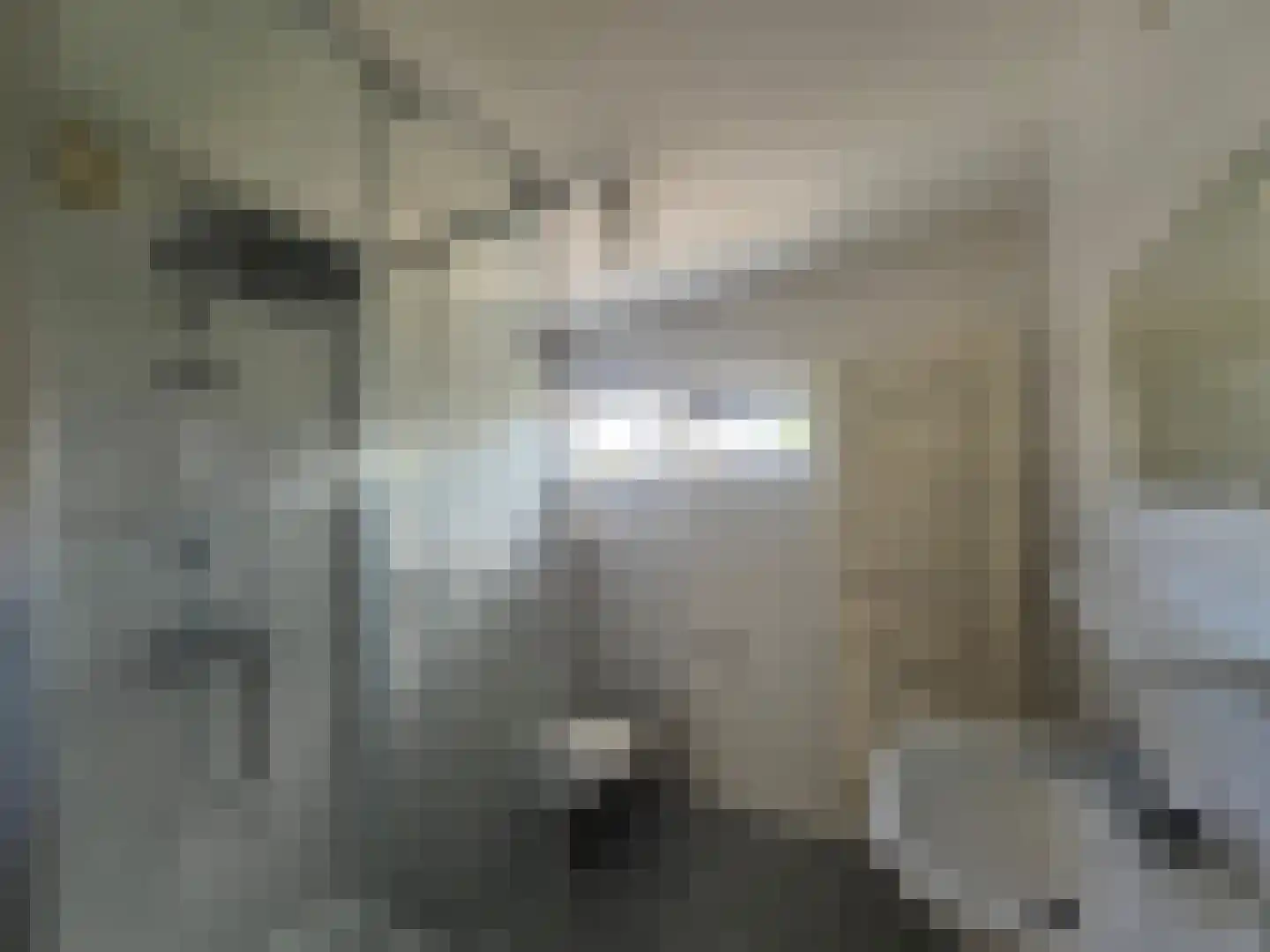 Dennenlaan 95 Rijssen thumbnail 11