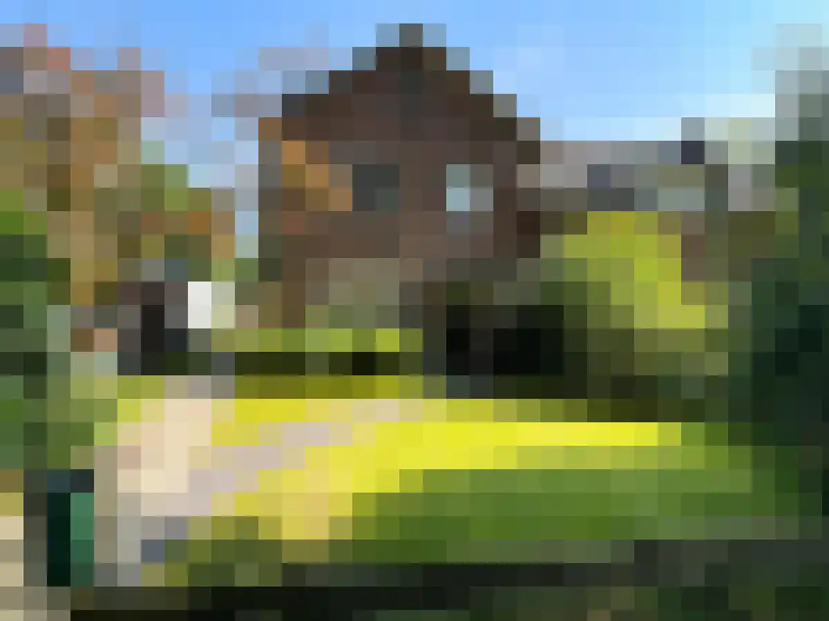 Dennenlaan Hollandsche Rading