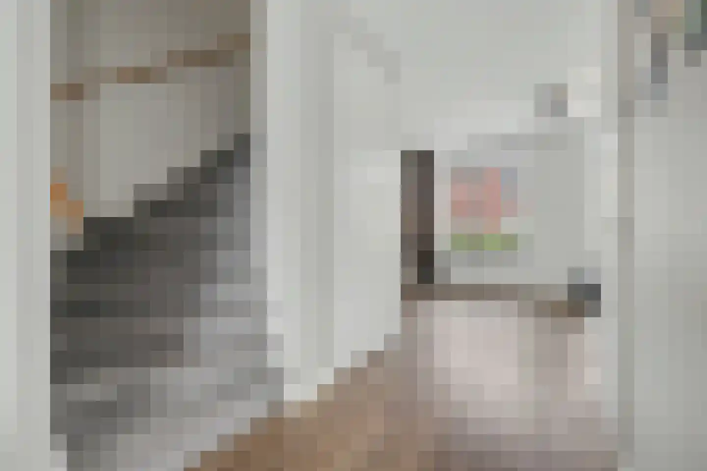Dennenoord 20 Hapert thumbnail 12