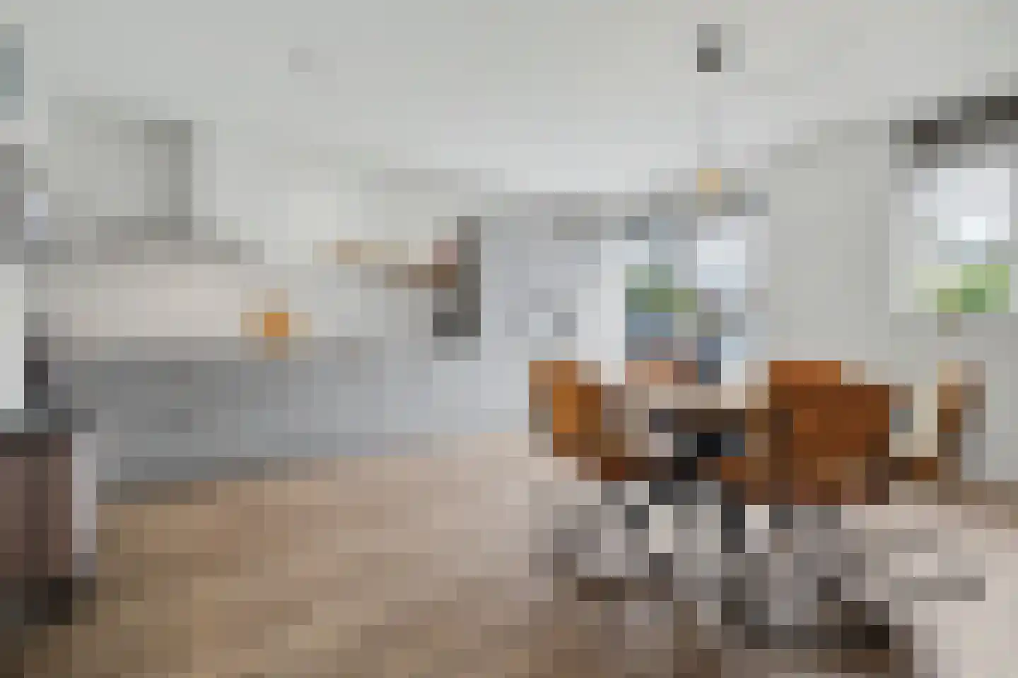 Dennenoord 20 Hapert thumbnail 13