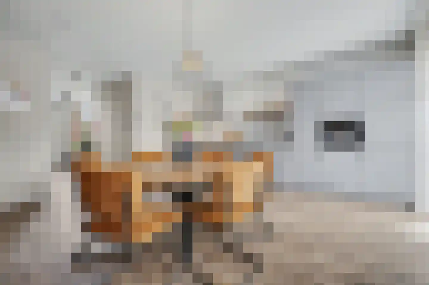 Dennenoord 20 Hapert thumbnail 16