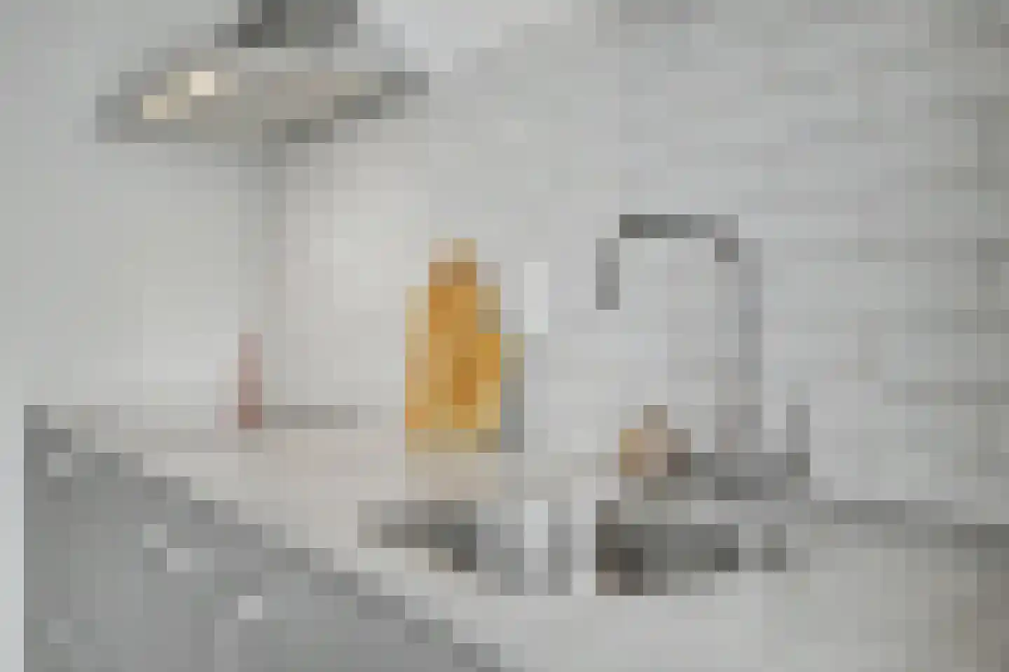 Dennenoord 20 Hapert thumbnail 19
