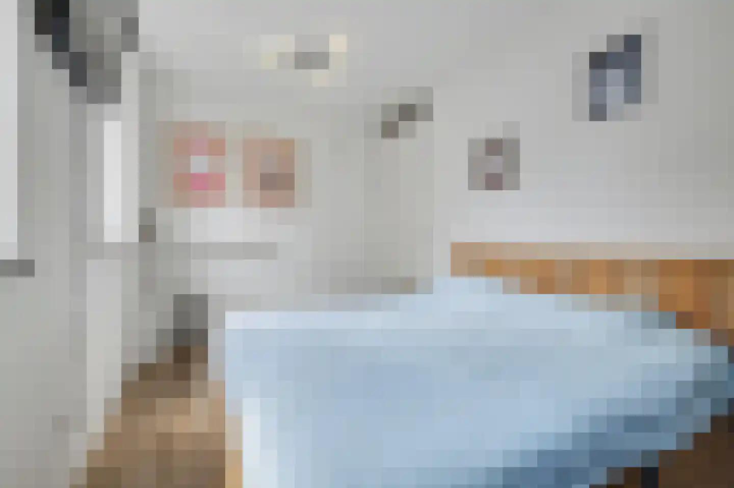 Dennenoord 20 Hapert thumbnail 23