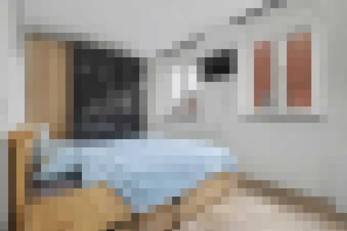 Dennenoord 20 Hapert thumbnail 24