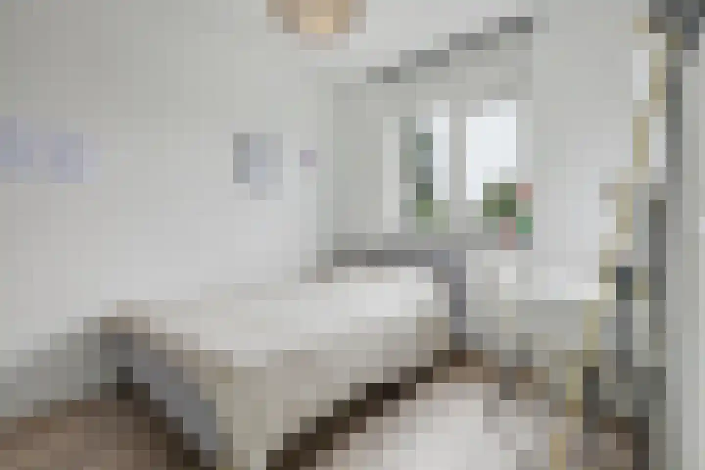 Dennenoord 20 Hapert thumbnail 25