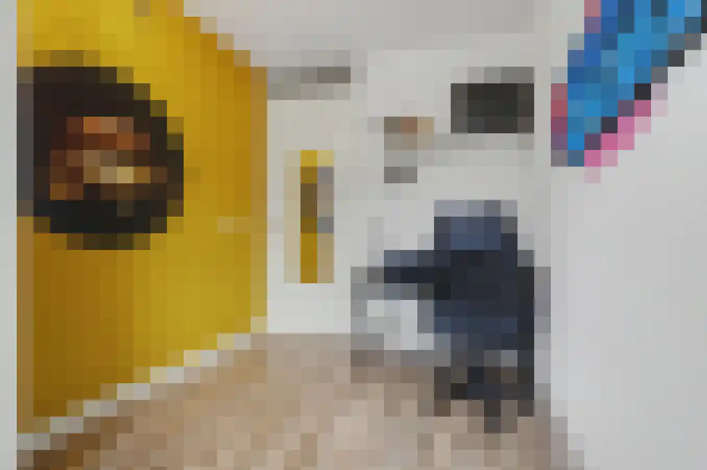 Dennenoord 20 Hapert thumbnail 28