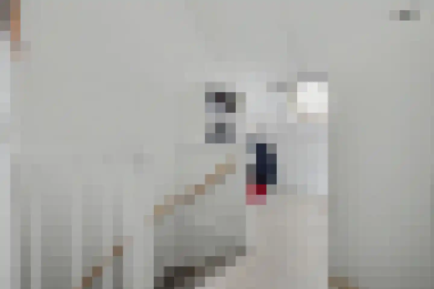 Dennenoord 20 Hapert thumbnail 32