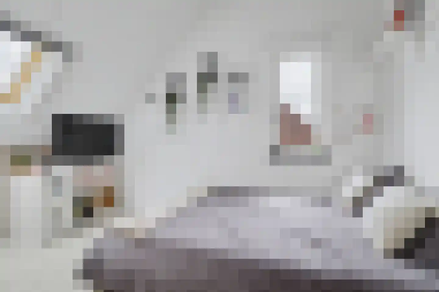 Dennenoord 20 Hapert thumbnail 33