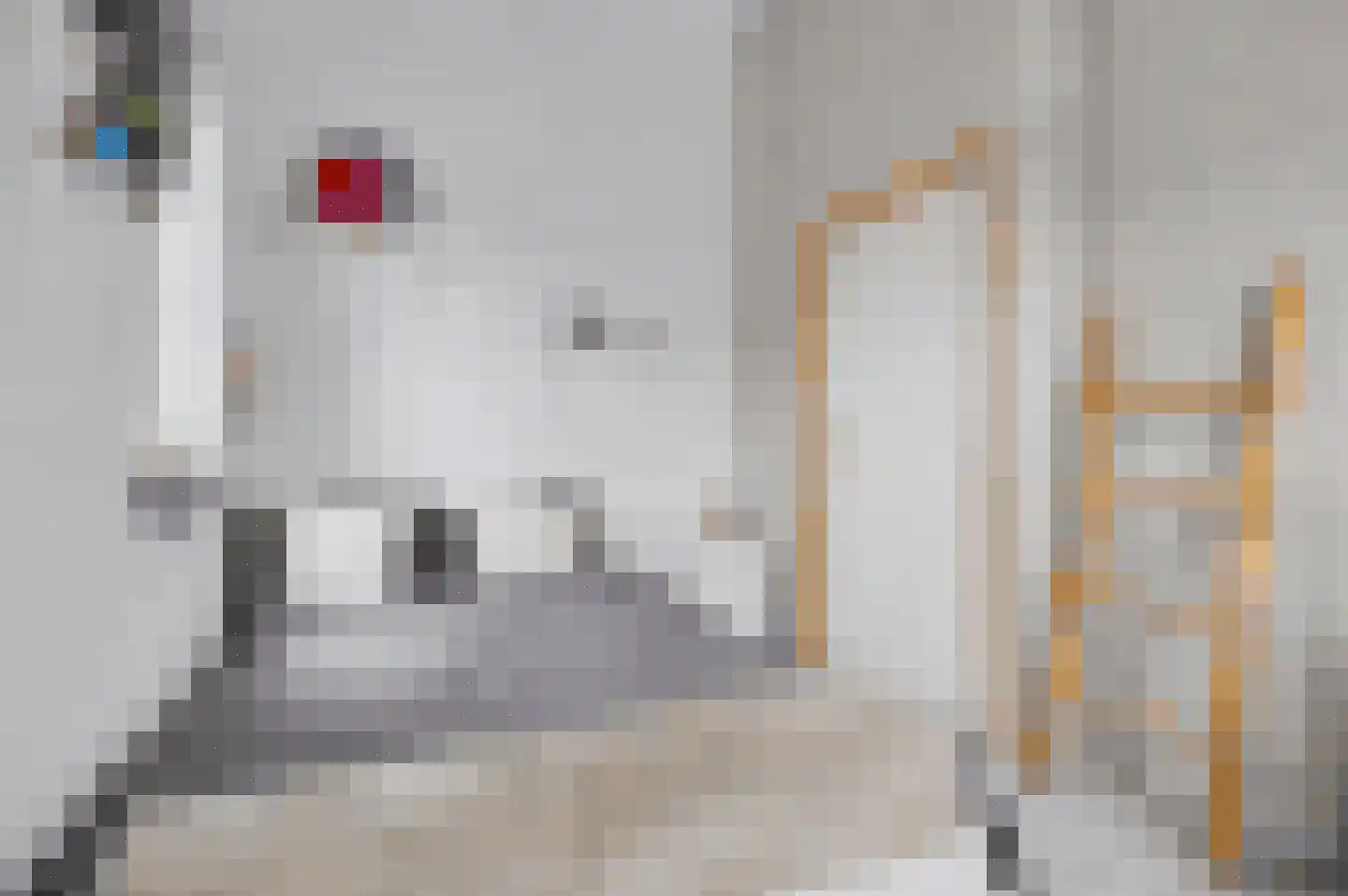 Dennenoord 20 Hapert thumbnail 34