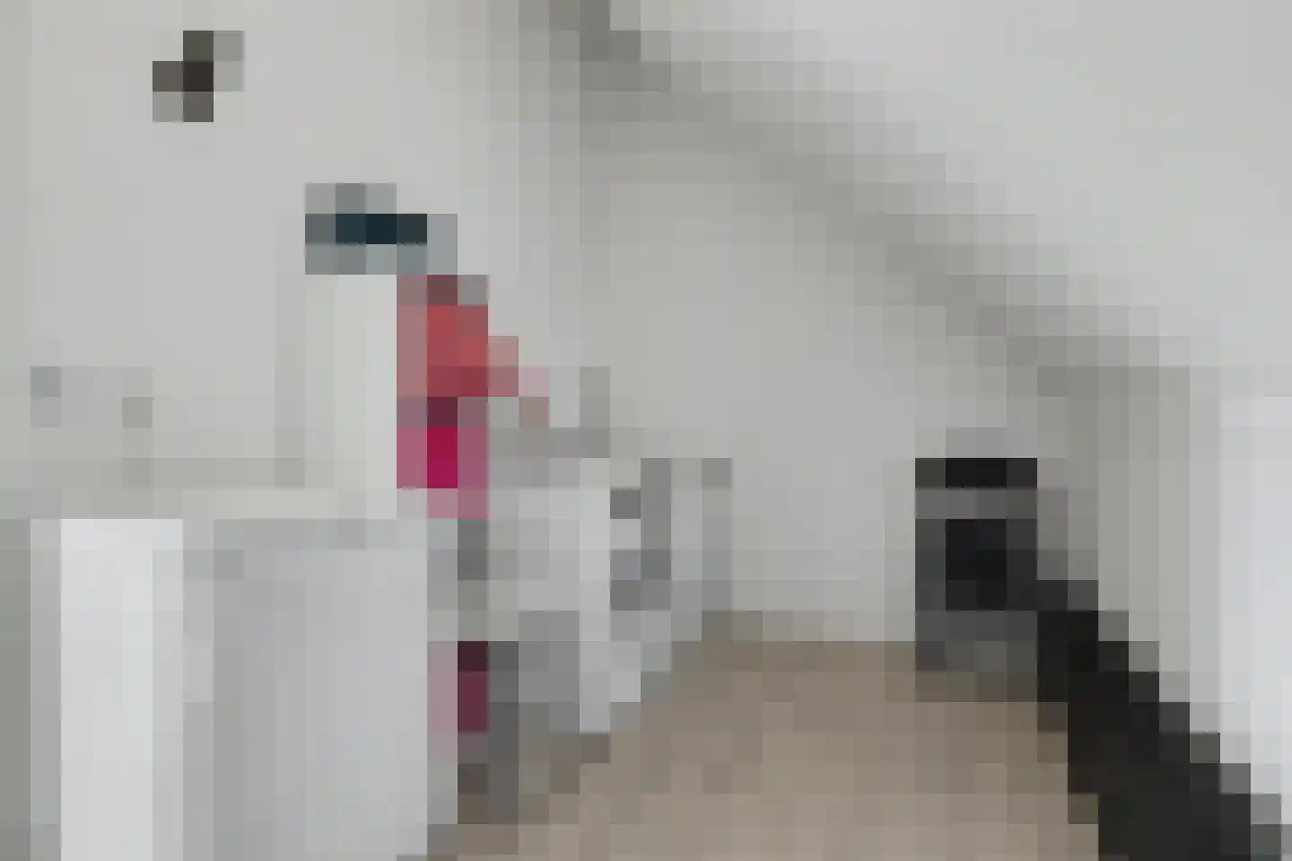 Dennenoord 20 Hapert thumbnail 35