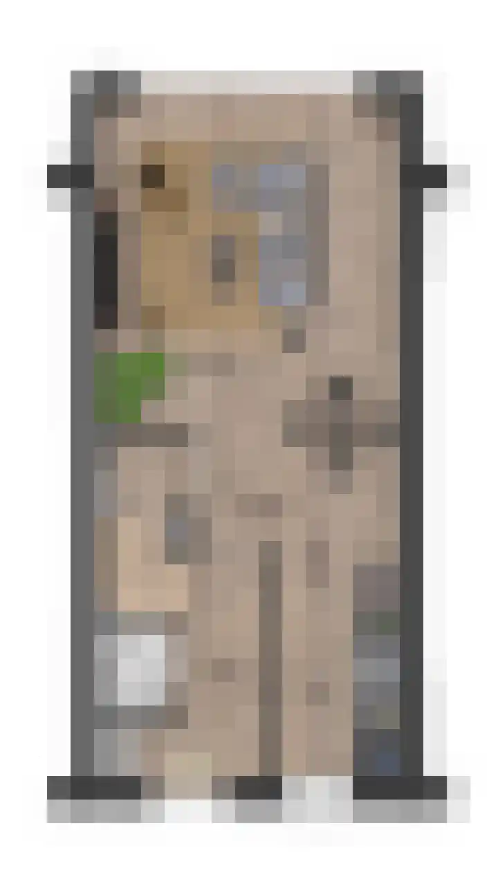 Dennenoord 20 Hapert thumbnail 7
