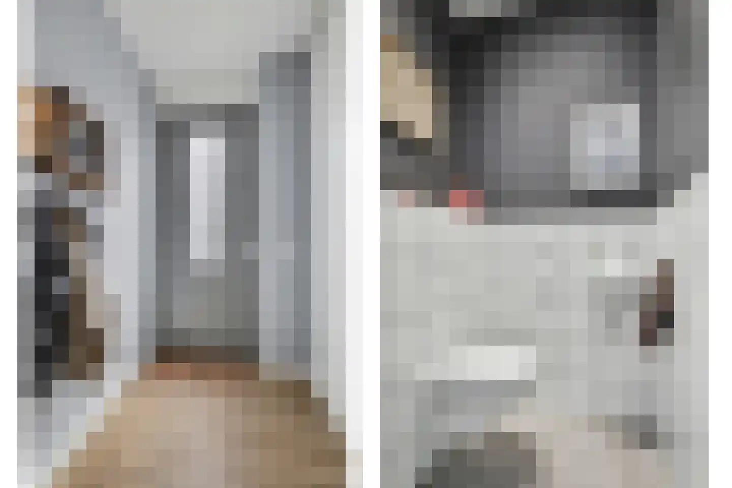 Dennenoord 20 Hapert thumbnail 7