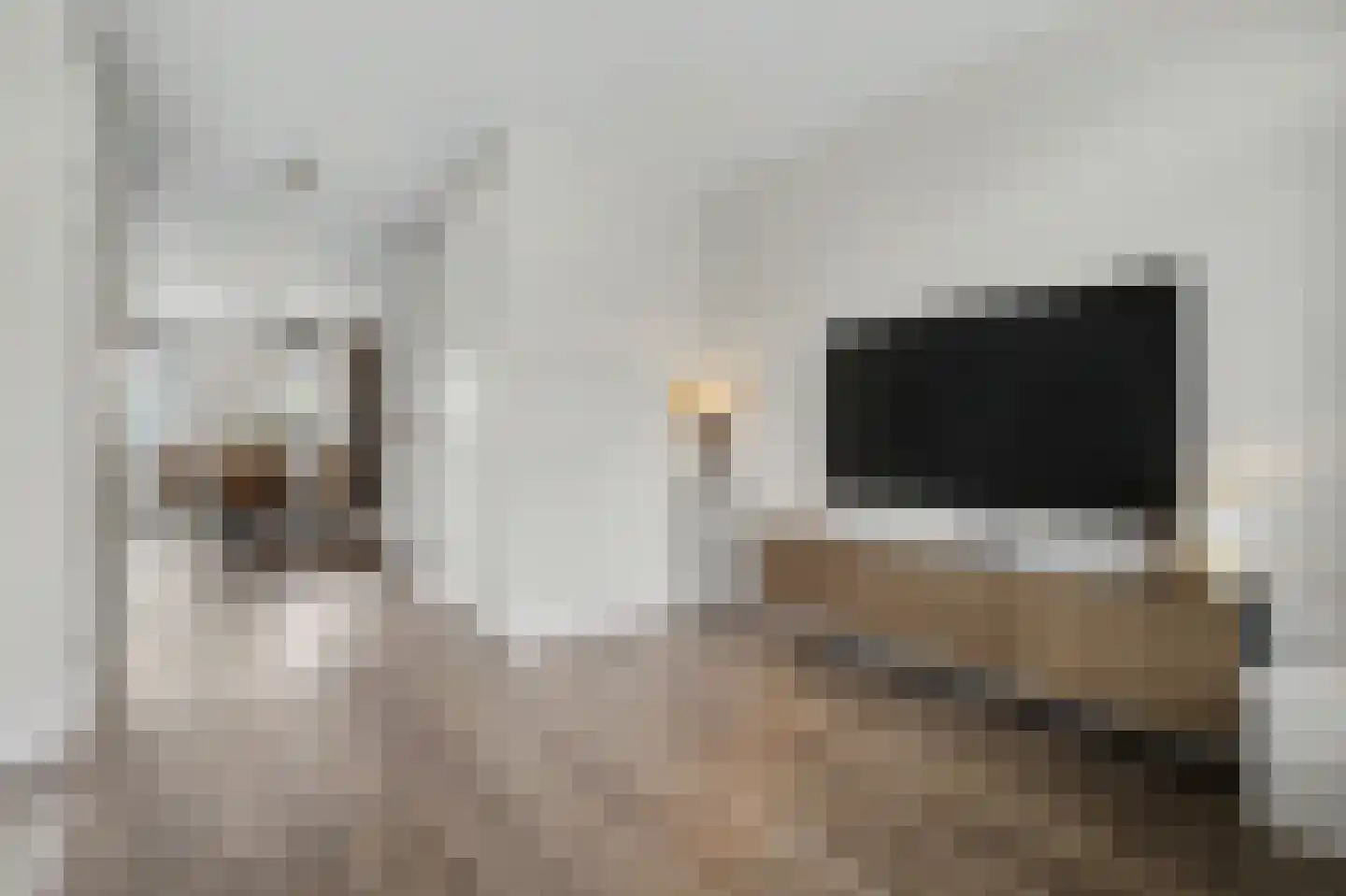 Dennenoord 20 Hapert thumbnail 9