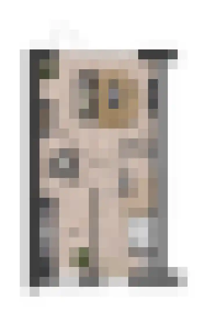 Dennenoord 26 Hapert thumbnail 4