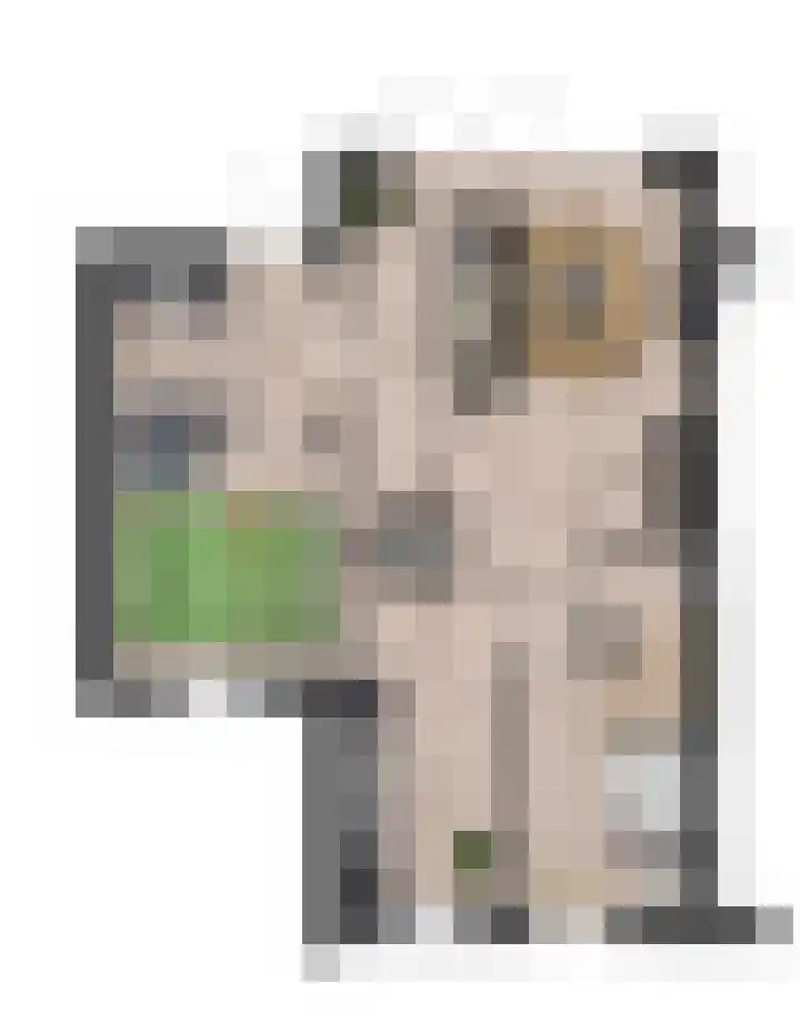 Dennenoord 26 Hapert thumbnail 7