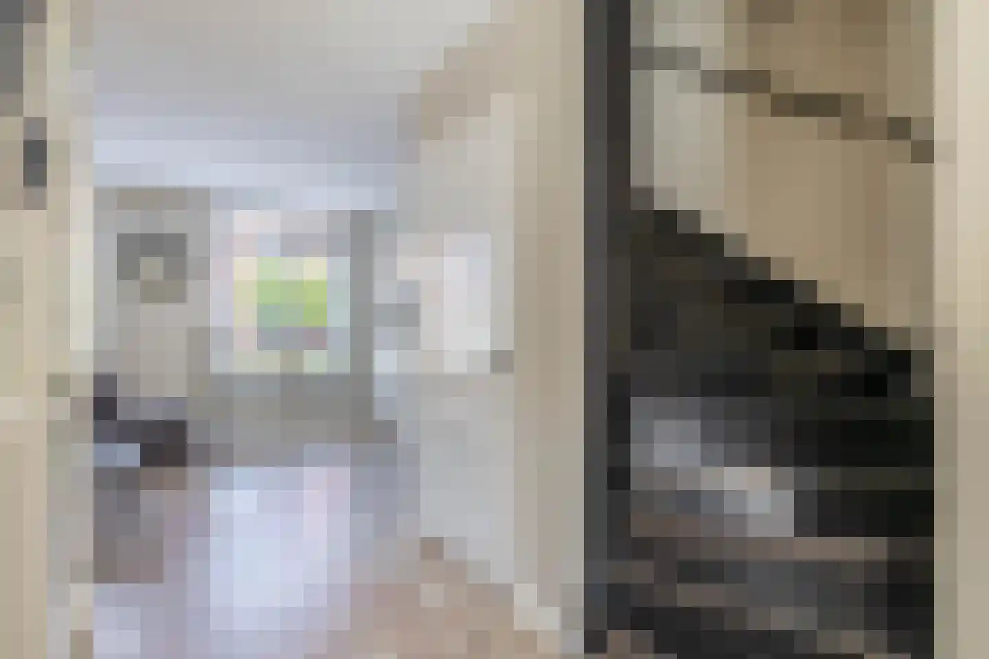 Dennenoord 27 Hapert thumbnail 11