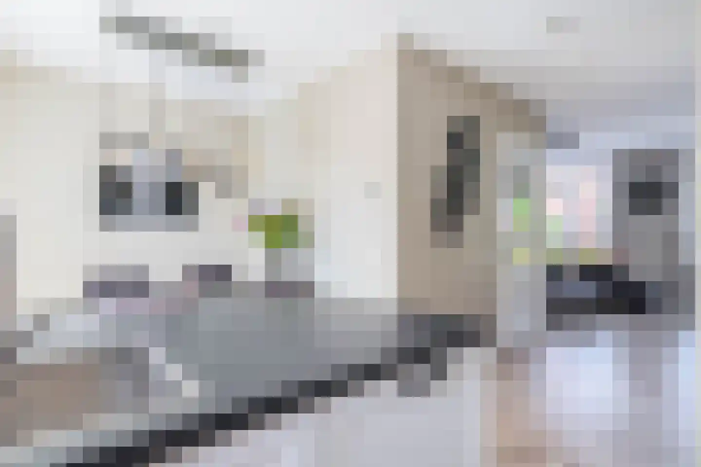 Dennenoord 27 Hapert thumbnail 16