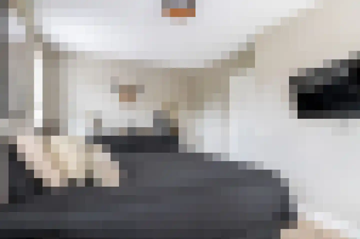 Dennenoord 27 Hapert thumbnail 21