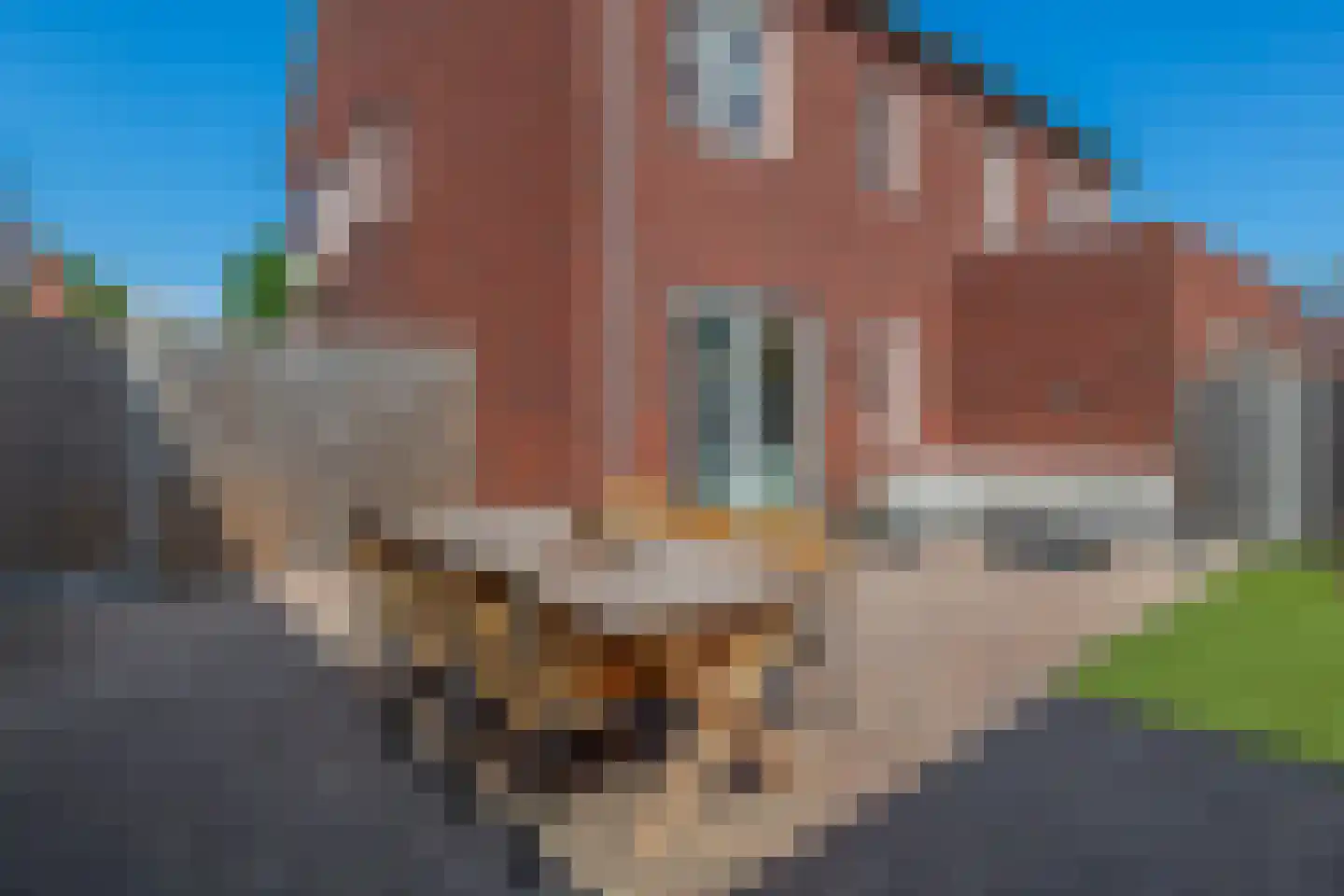 Dennenoord 27 Hapert thumbnail 40
