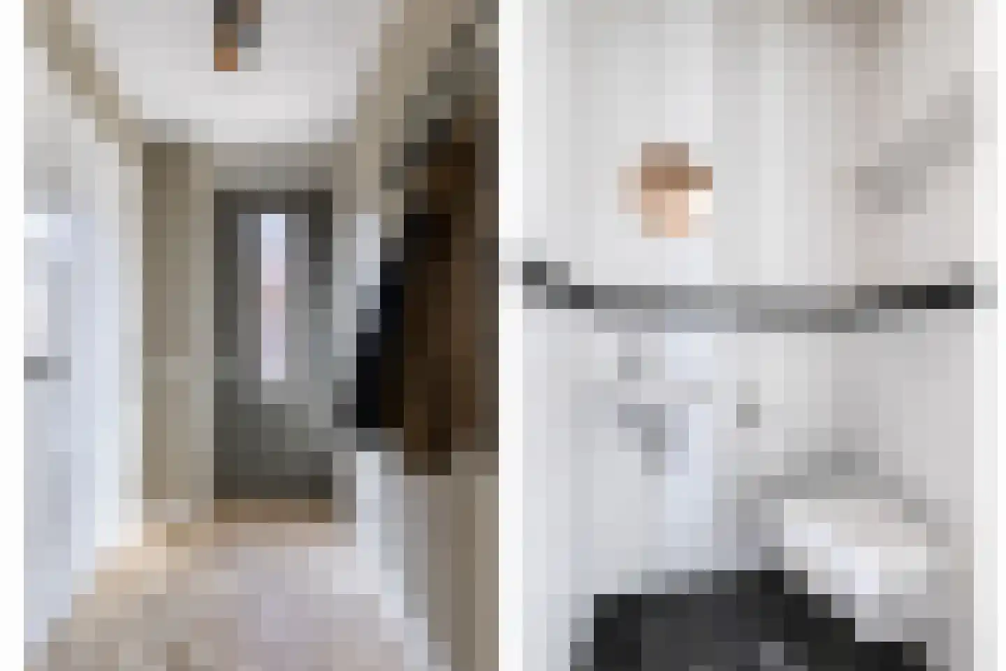 Dennenoord 27 Hapert thumbnail 7