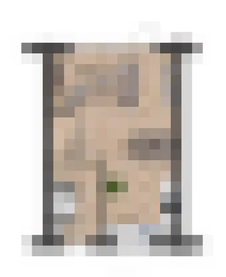 Dennenoord 6 Hapert foto 3