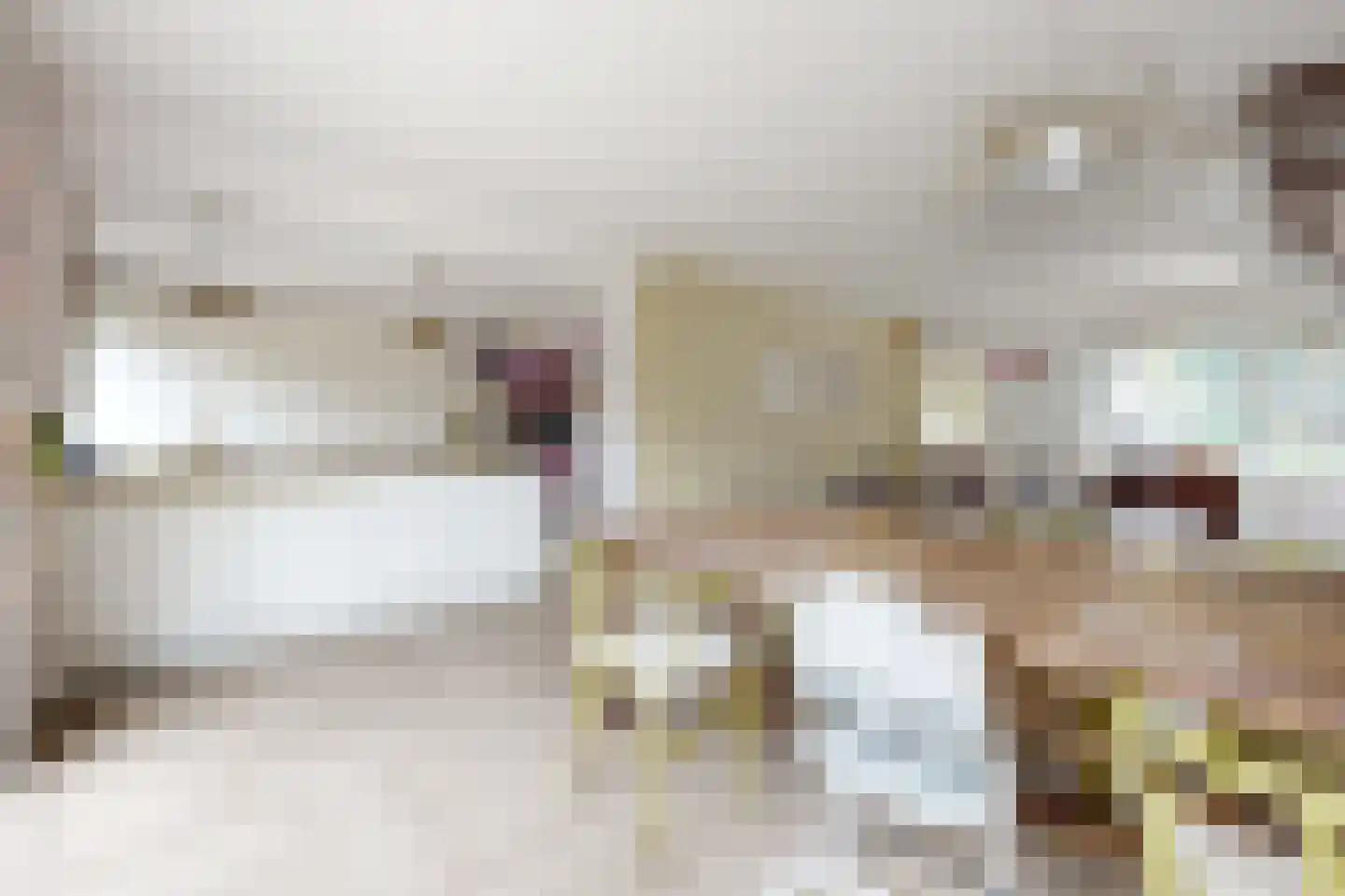 Dennenpad 1 Klundert thumbnail 22