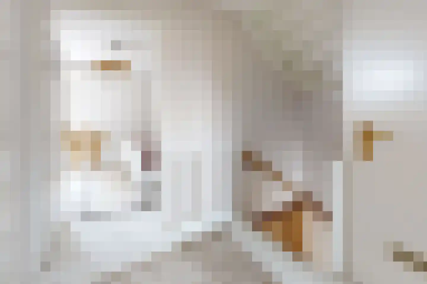 Dennenpad 1 Klundert thumbnail 36