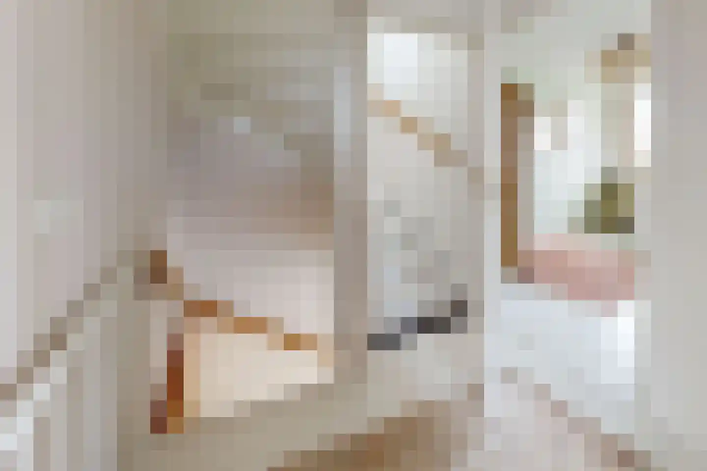 Dennenpad 1 Klundert thumbnail 37