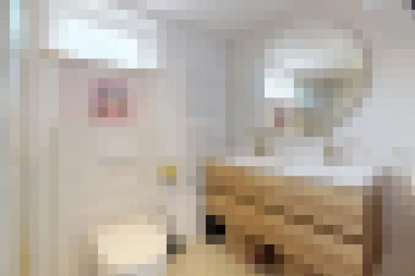 Dennenpad 1 Klundert thumbnail 47