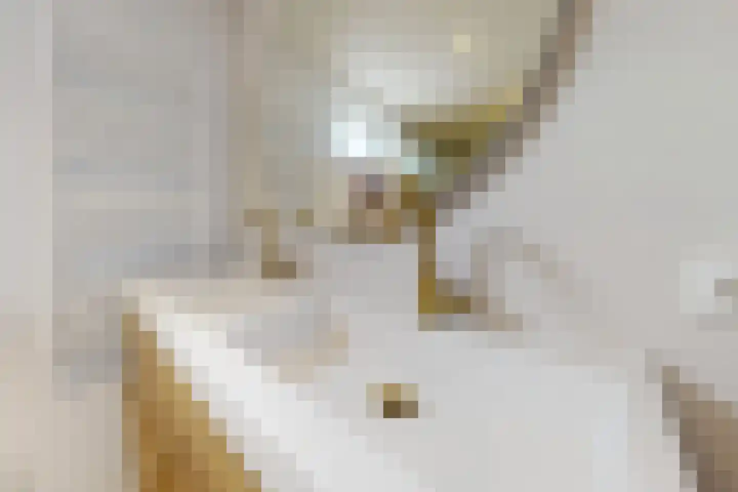 Dennenpad 1 Klundert thumbnail 48