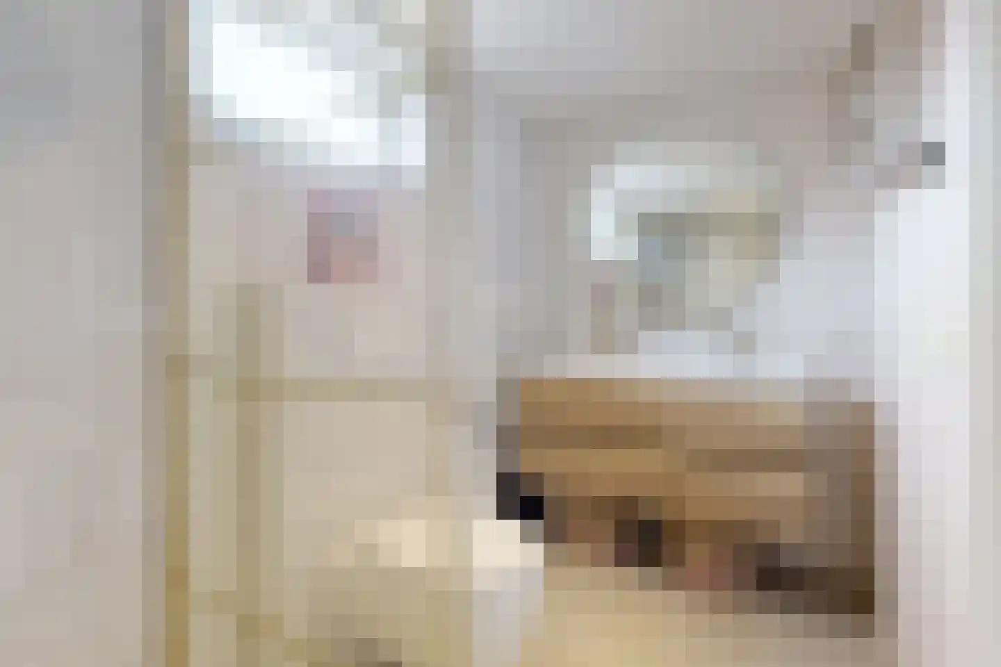 Dennenpad 1 Klundert thumbnail 49