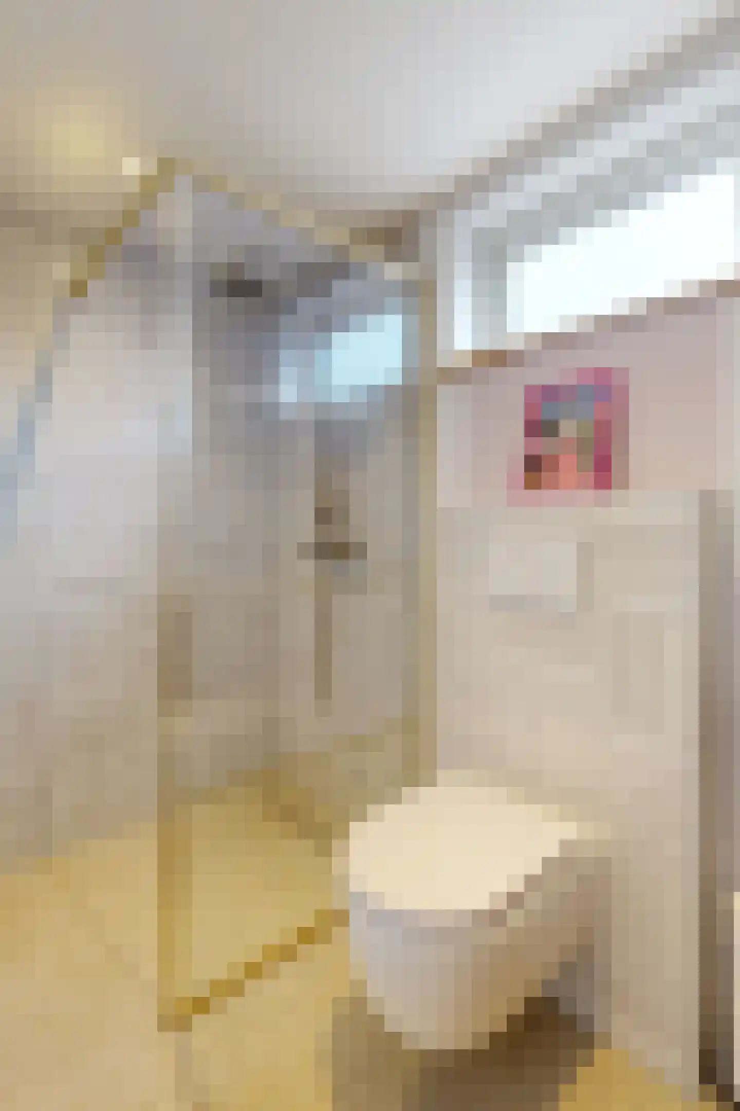 Dennenpad 1 Klundert thumbnail 50