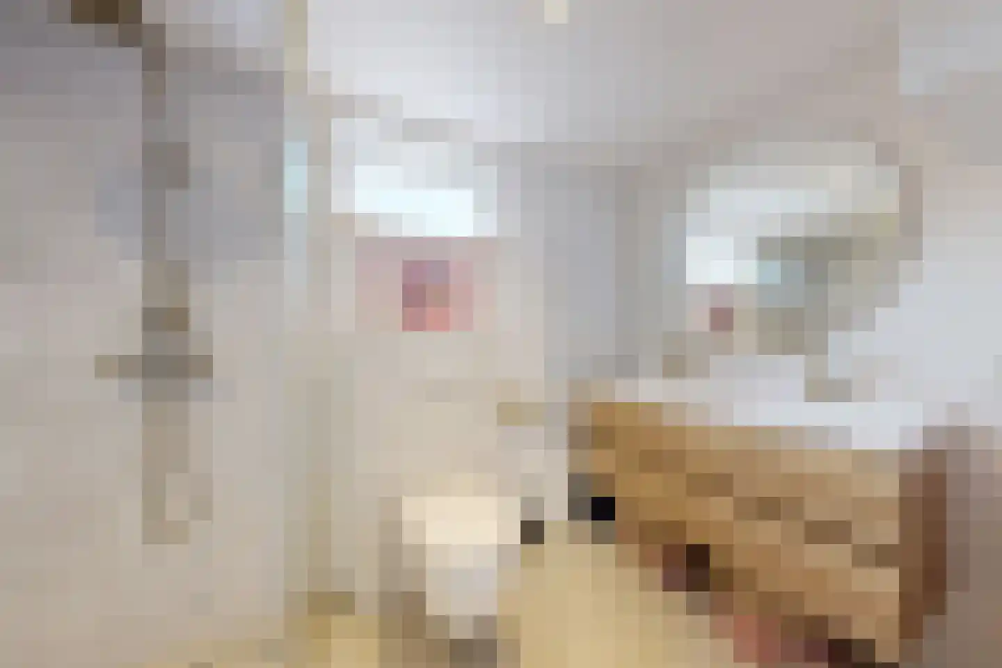 Dennenpad 1 Klundert thumbnail 6