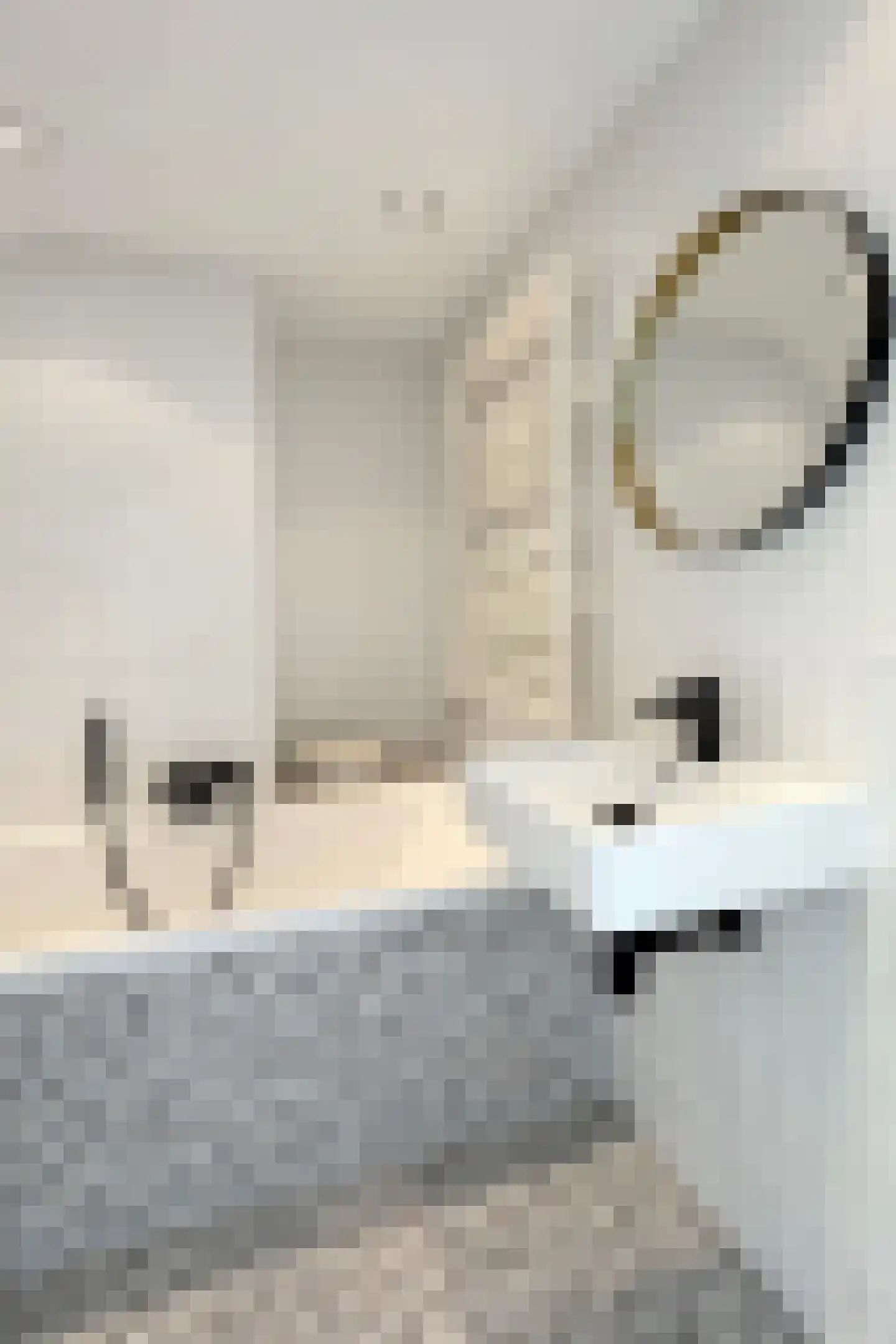 Dennenpad 1 Klundert thumbnail 63