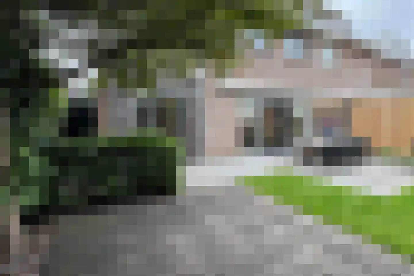 Dennenpad 1 Klundert thumbnail 66