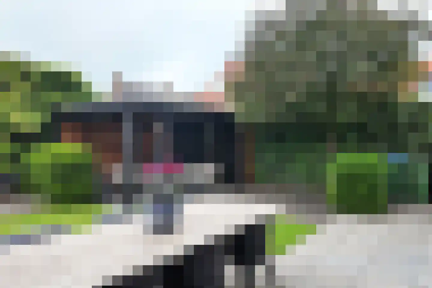 Dennenpad 1 Klundert thumbnail 72