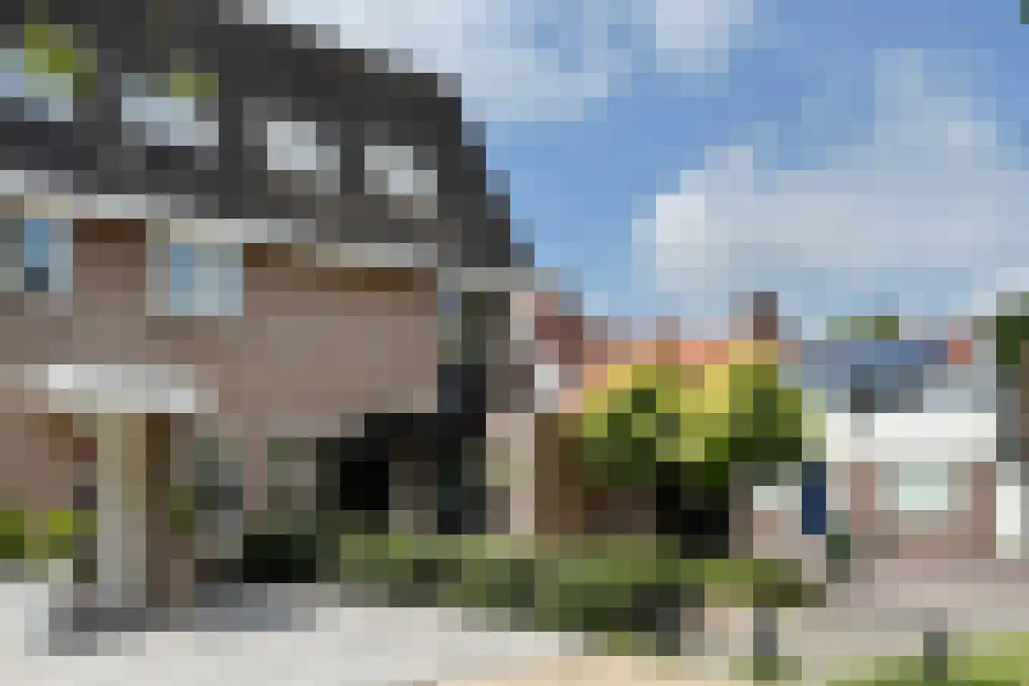 Dennenpad 1 Klundert thumbnail 76