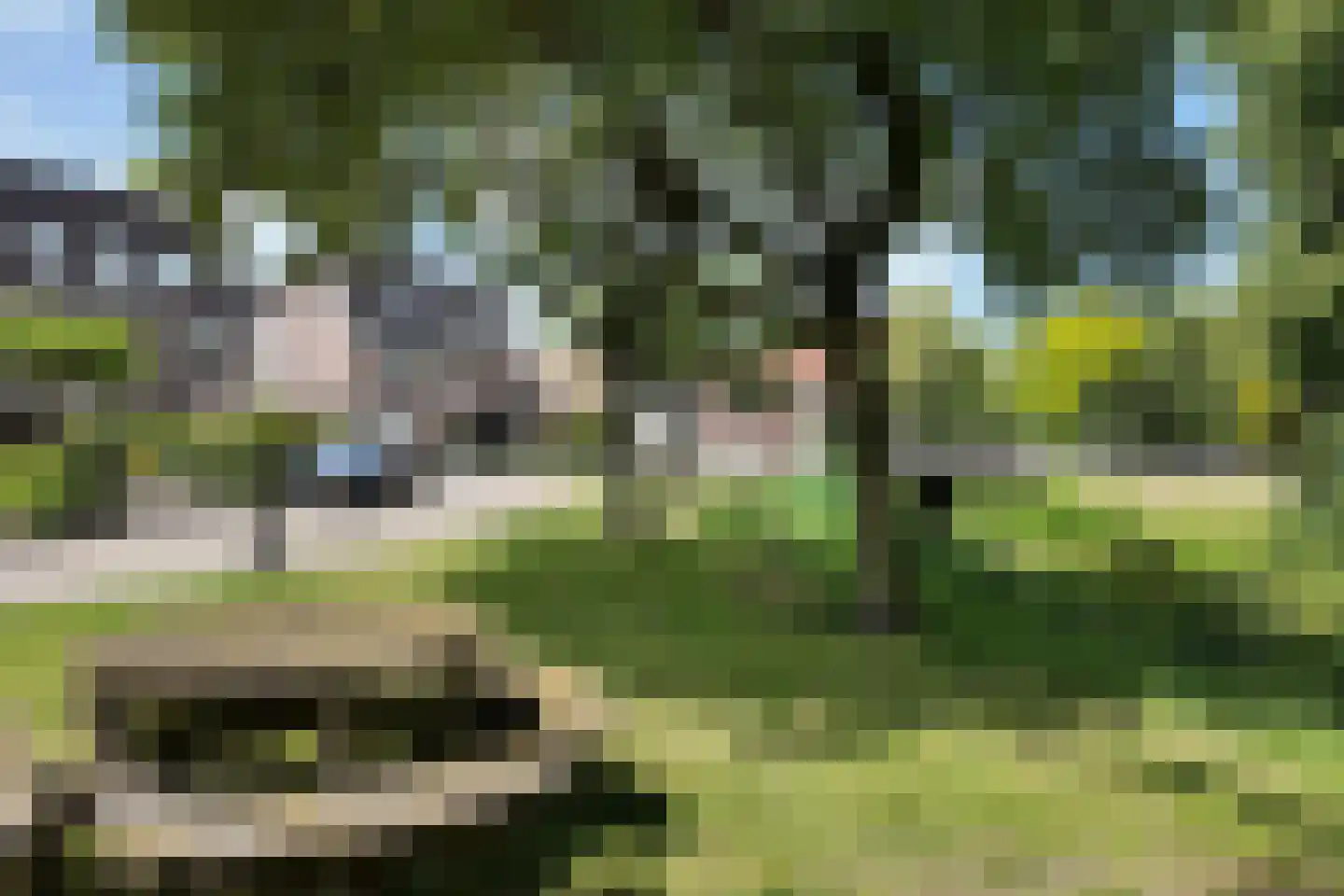 Dennenpad 1 Klundert thumbnail 78
