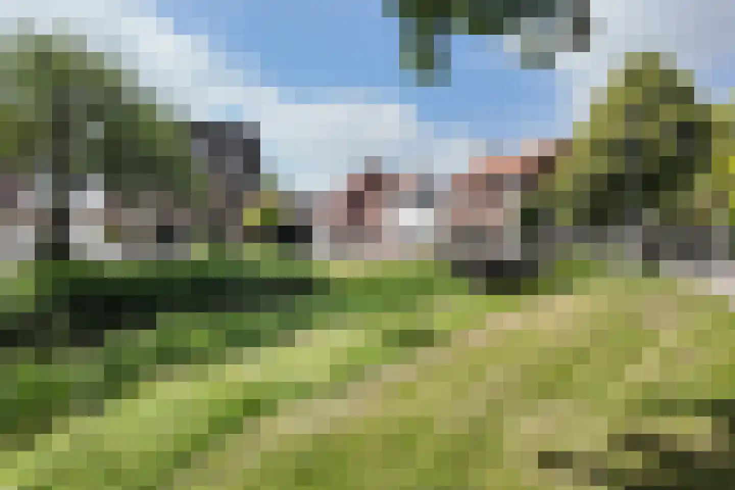 Dennenpad 1 Klundert thumbnail 83
